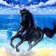 [obrazky_4ever_sk]-kon,-more,-plaz-8935515.jpg