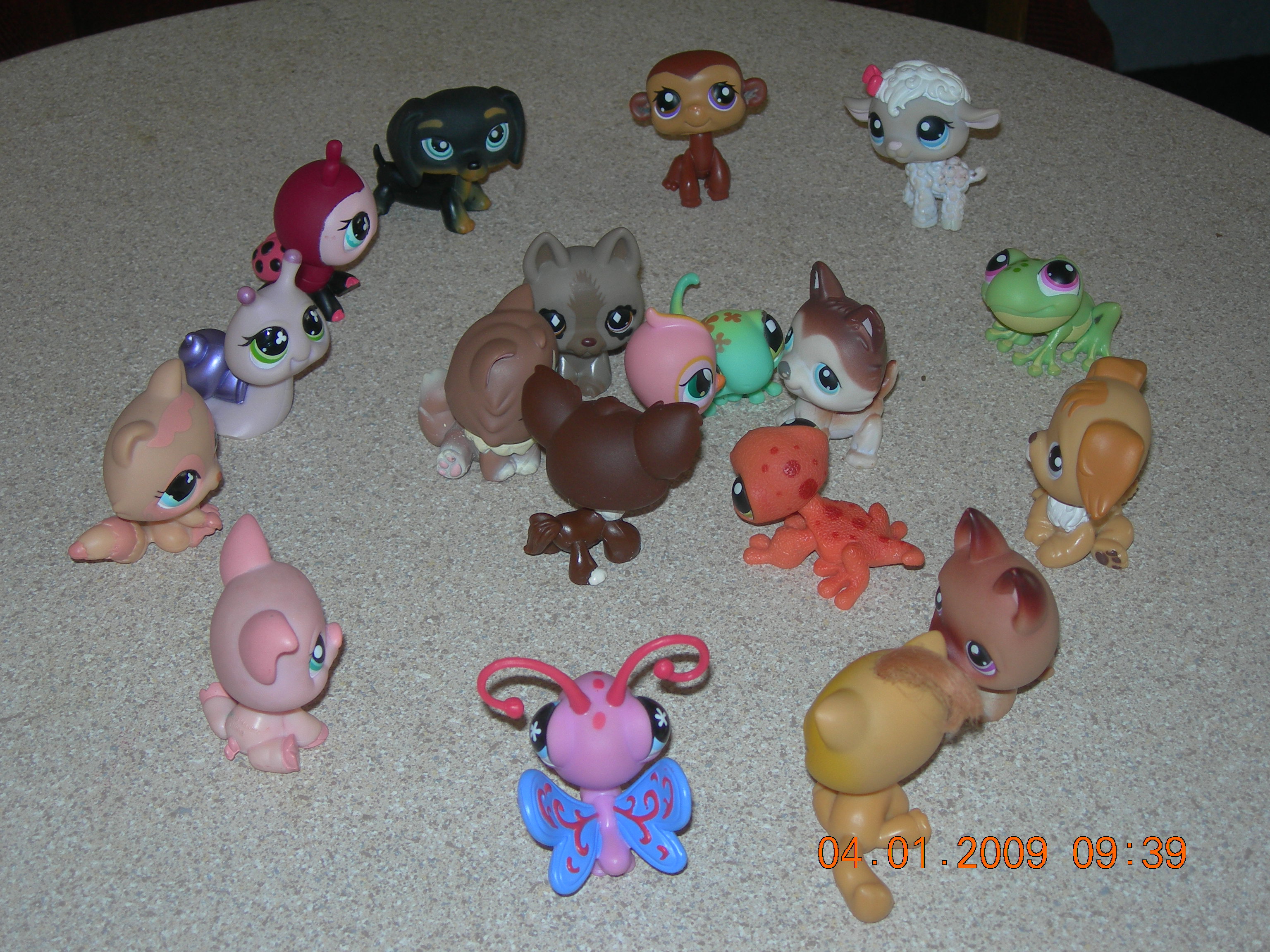 DSCN2290.JPG
